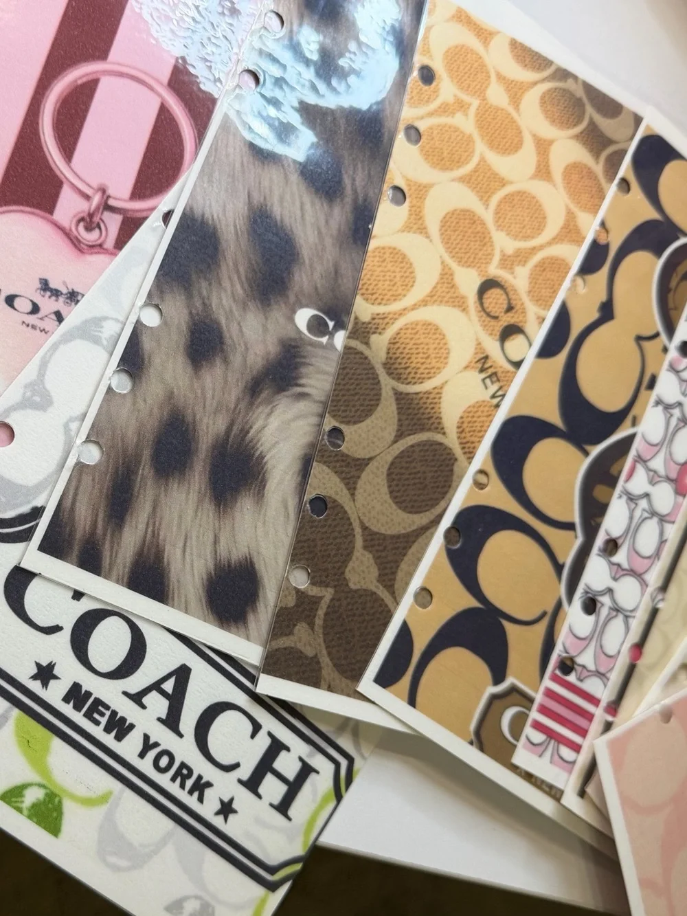 Coach stylish folio